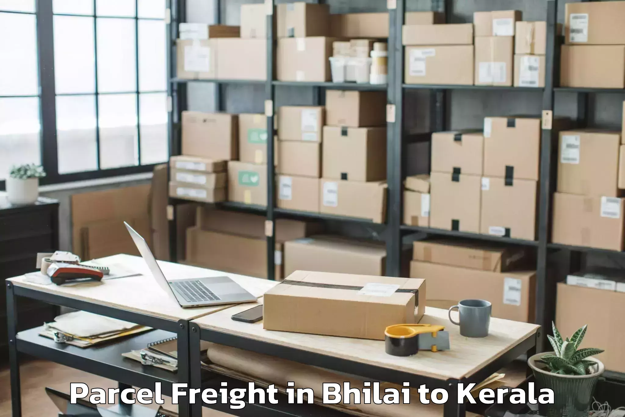 Reliable Bhilai to Shoranur Parcel Freight